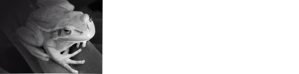 ecobeings logo