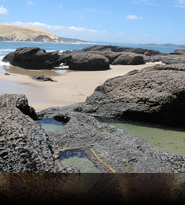 northland, west coast, beach